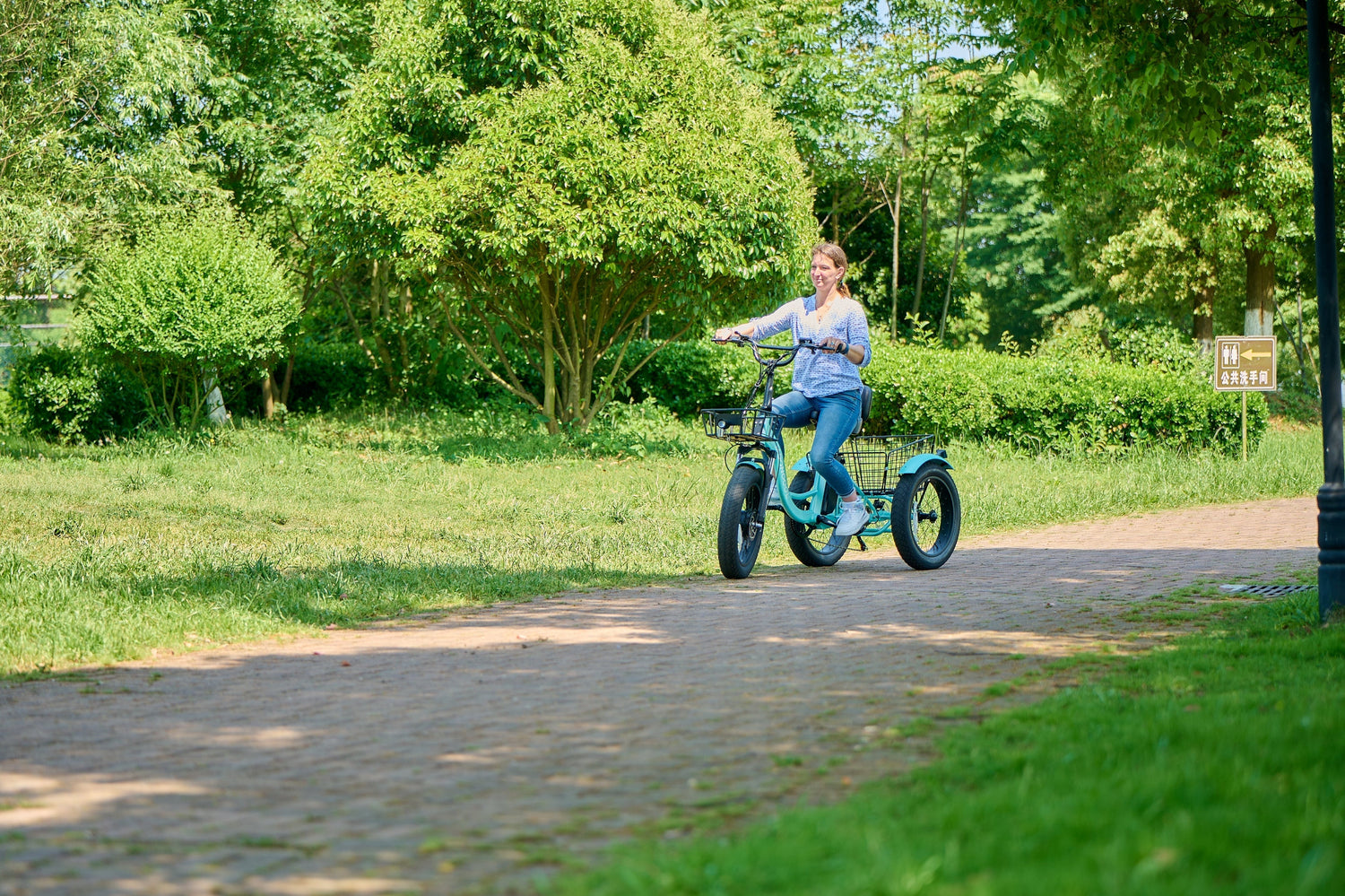 Detailed Cleaning Instructions for Ensuring Electric Trike Longevity