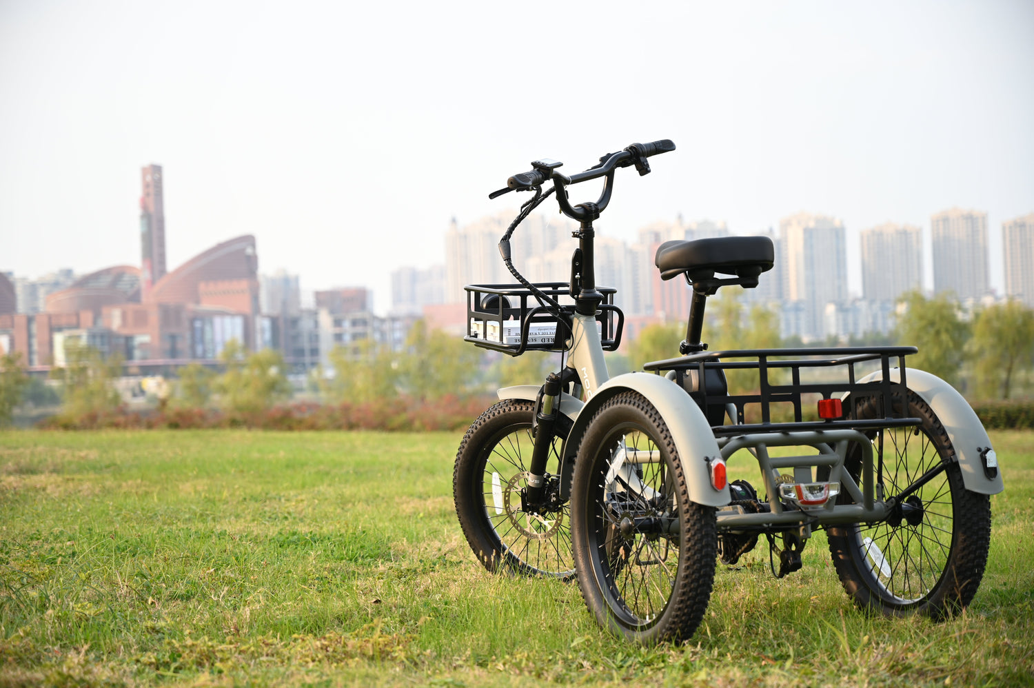 Are Electric Trikes Truly an Economical Choice?