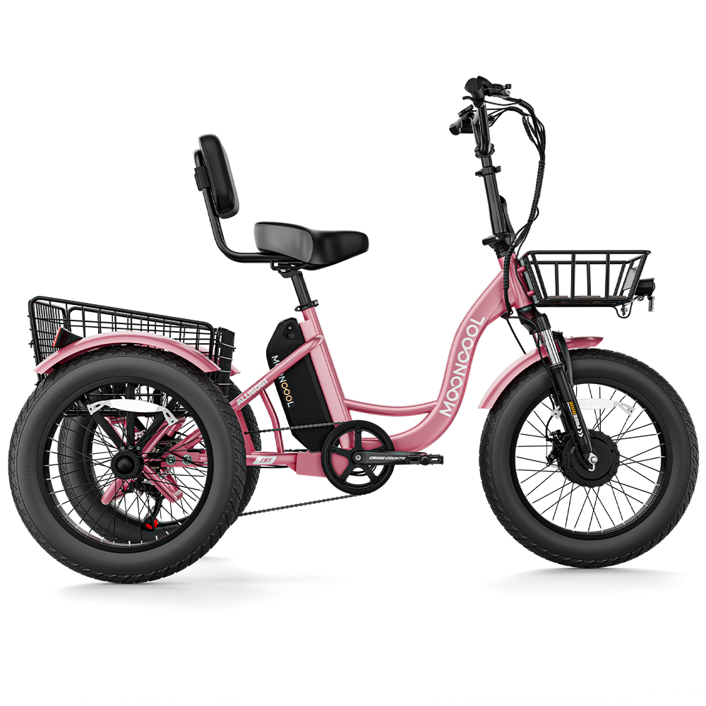 Sturdy Stable TK1 FAT20 Fat Tire Electric Trike All Terrain Electric Tricycle Mooncool