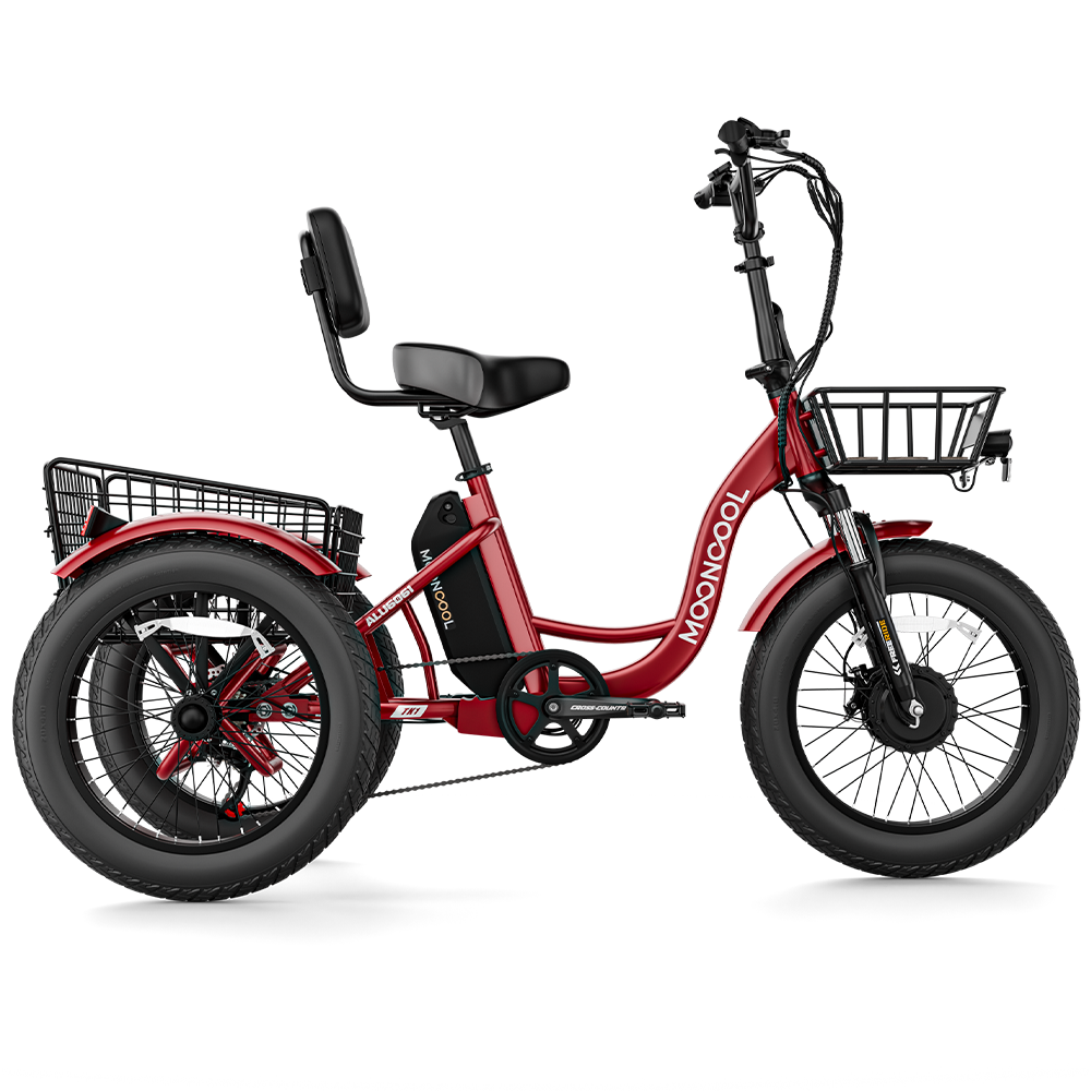 Fat tire electric trike for sale sale