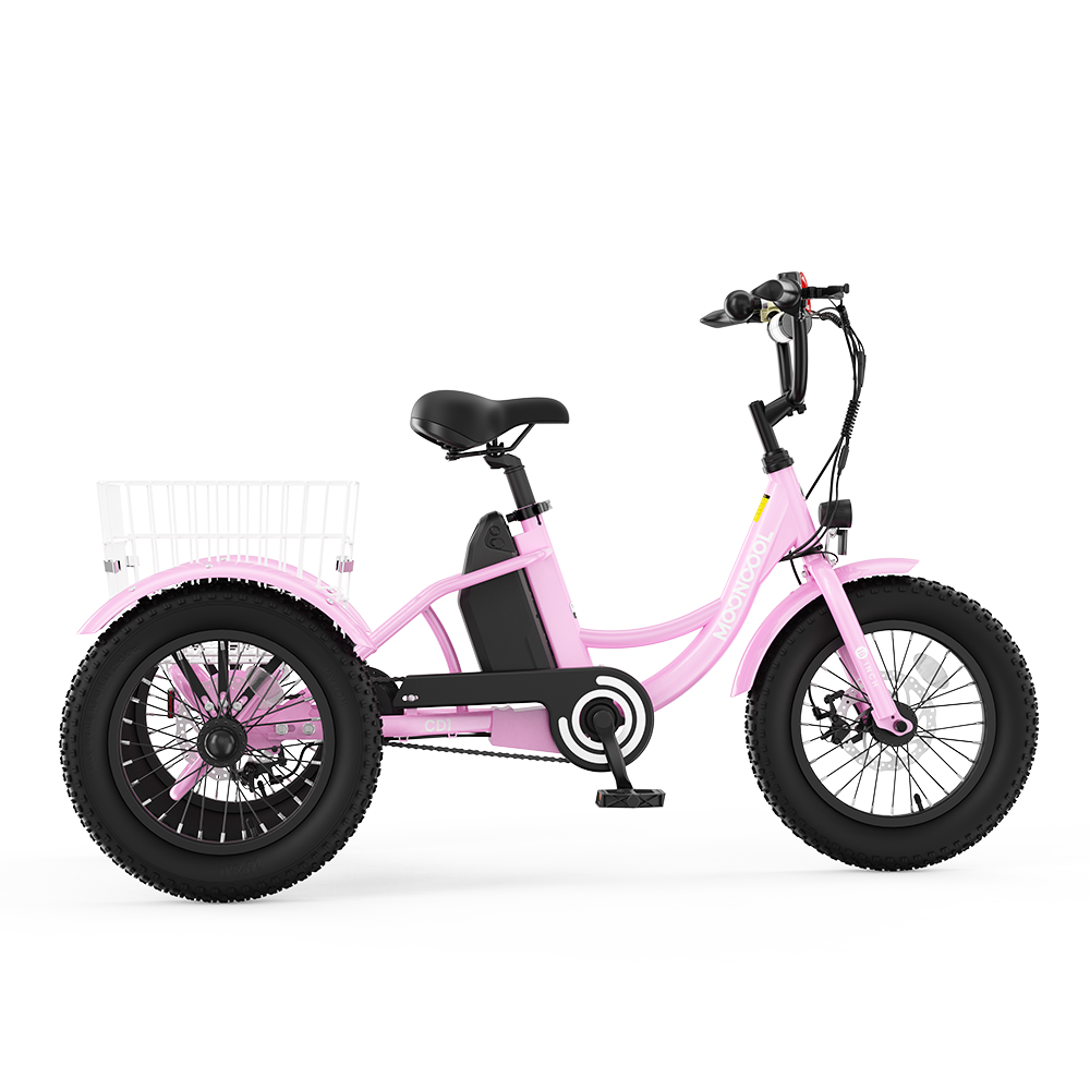 CD1 Electric Youth Trike