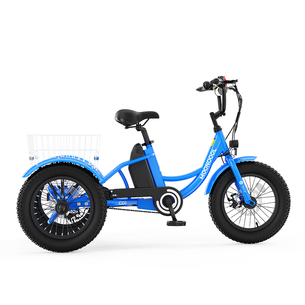 CD1 Electric Youth Trike