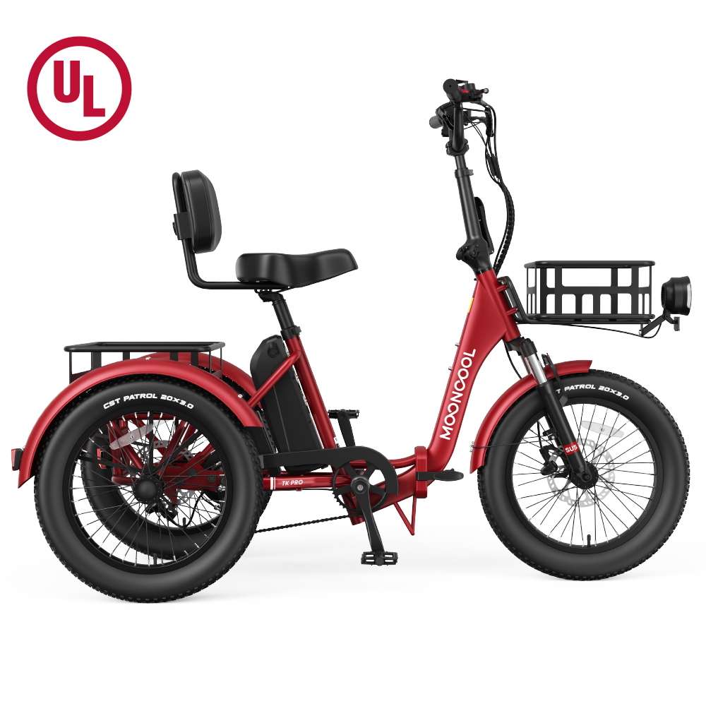 TK Pro Electric Trike