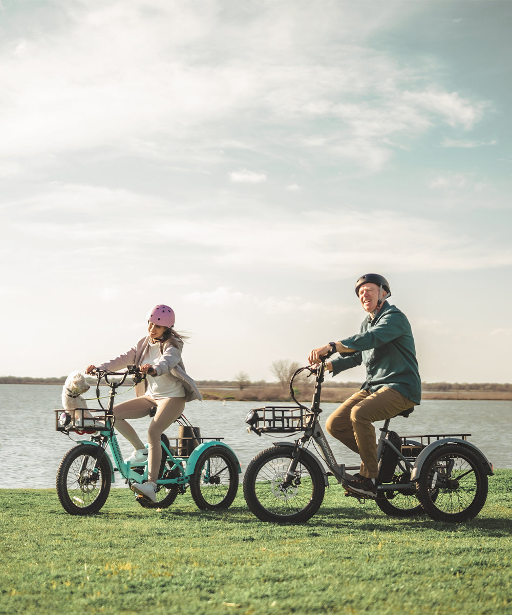 Beach tricycle for adults online